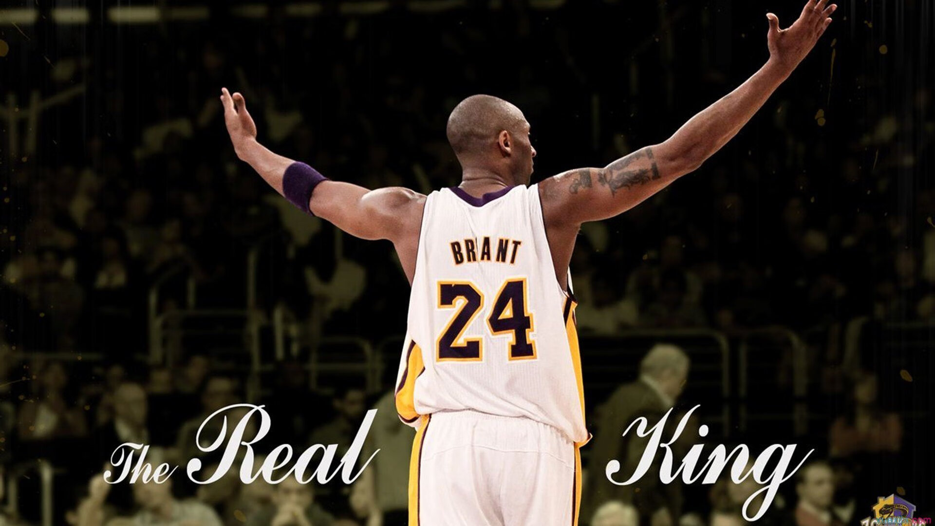 拳击赛事全球推广，拳击推广人是什么意思